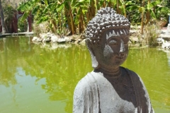 Buddha=20am=20Teich