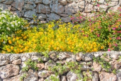 Farbenpracht_und_Stein