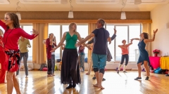 TDJ_2223-109_bear_800